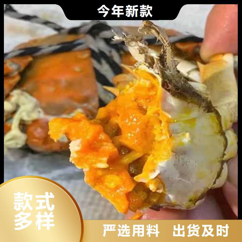 龙州阳澄湖大闸蟹订购