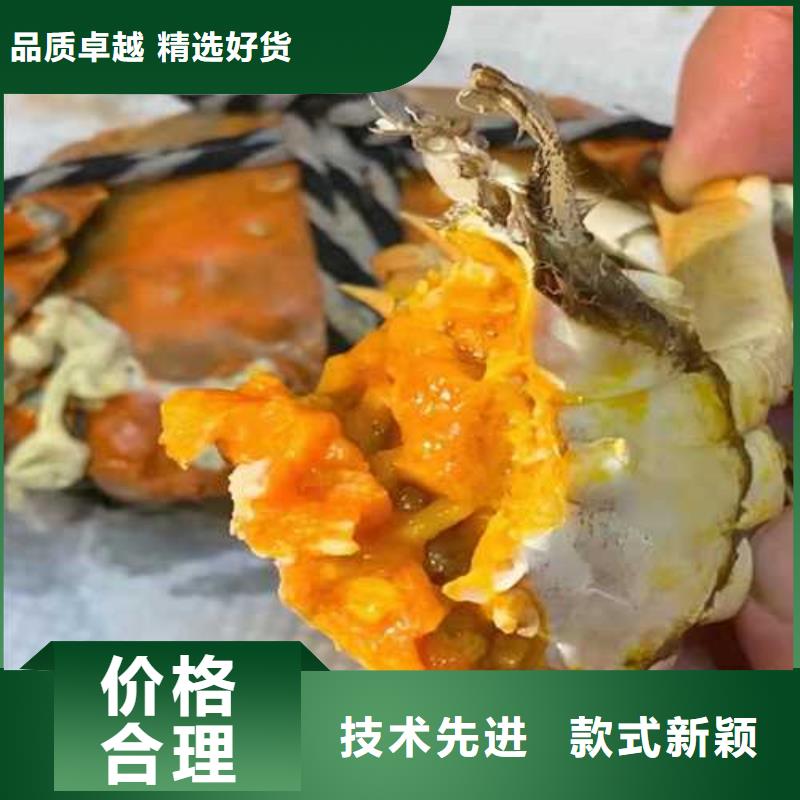 網上訂購大閘蟹