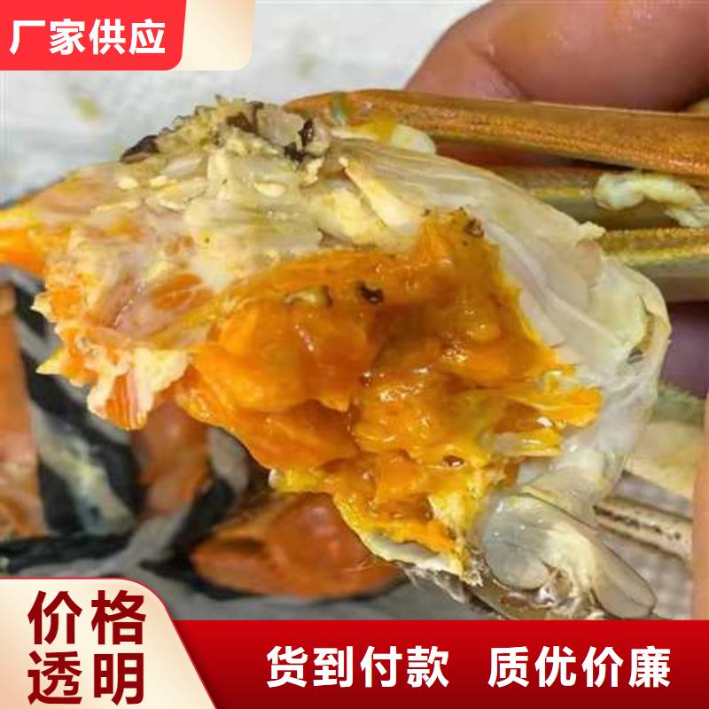 懷來縣賣陽澄湖大閘蟹地方