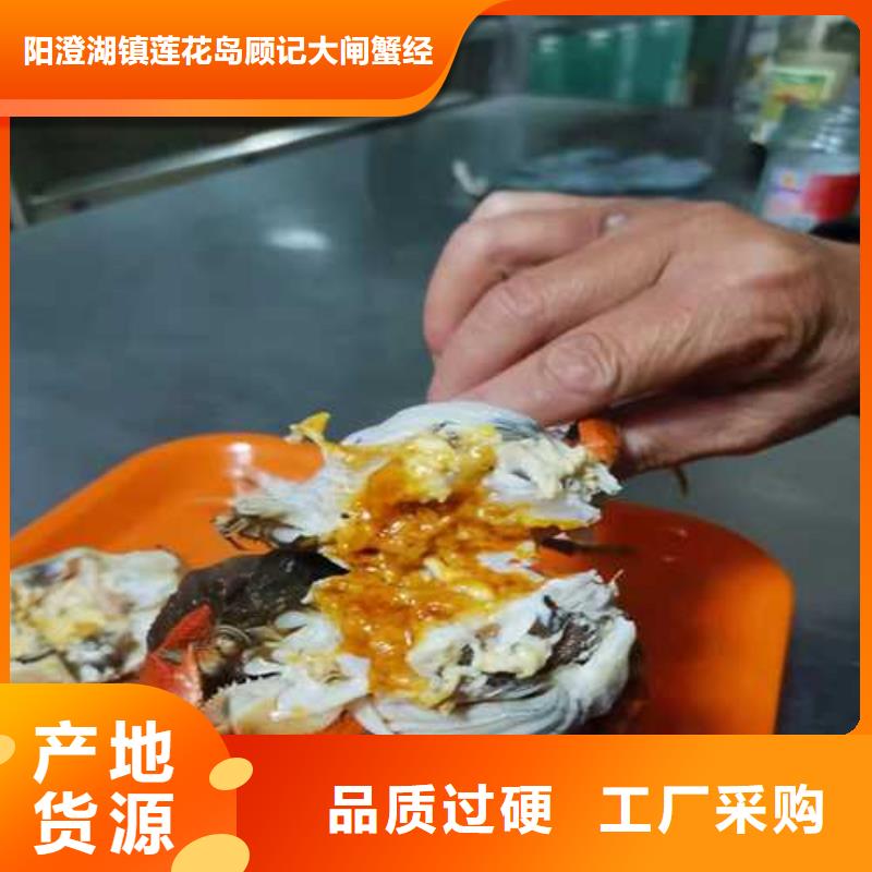 陽澄湖大閘蟹包郵