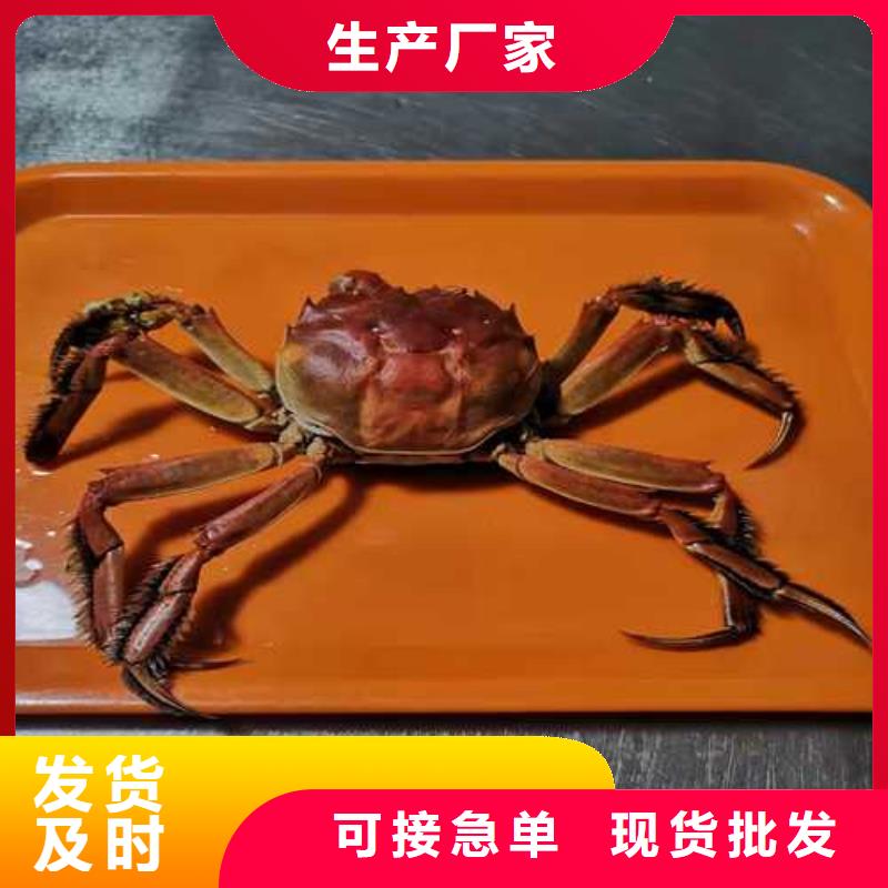 大冶市陽澄湖大閘蟹訂購