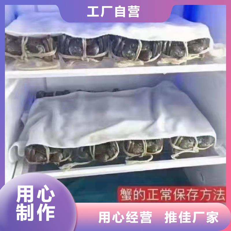 買大閘蟹