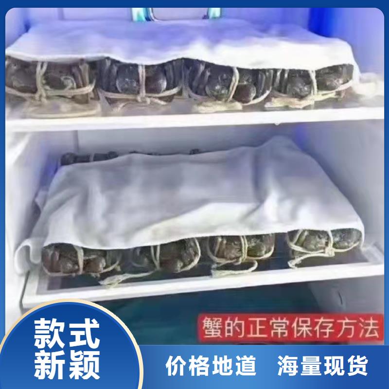 大閘蟹_歡迎您