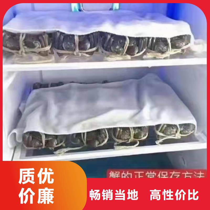 鮮活特大螃蟹多少錢一斤