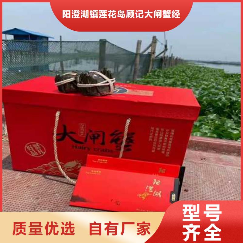 蘇州陽澄湖大閘蟹多少錢味道好