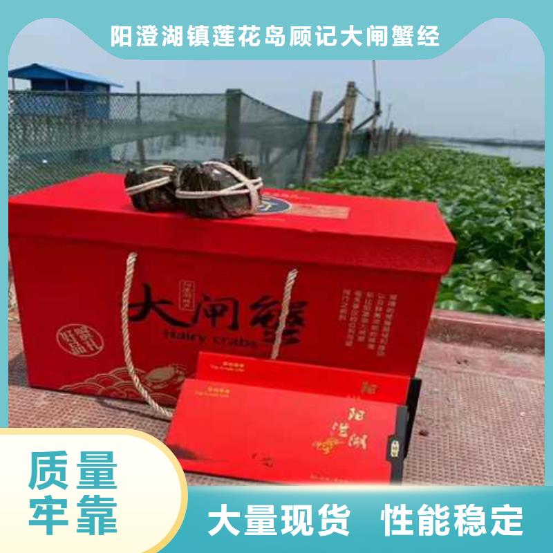 大閘蟹供應商-長期合作
