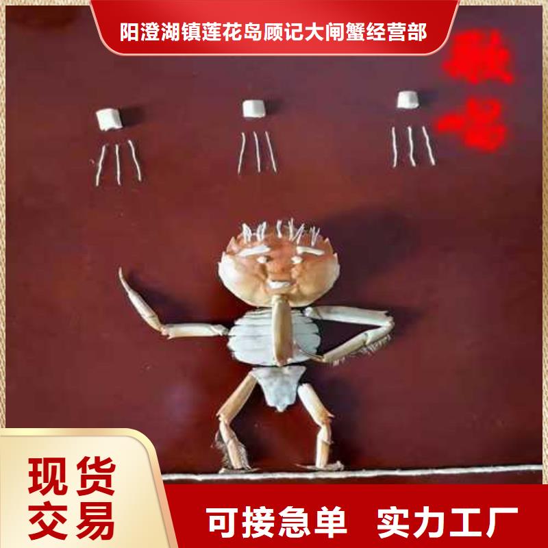 武義陽澄湖大閘蟹敢為天下鮮