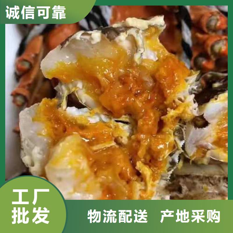 南靖縣陽澄湖大閘蟹