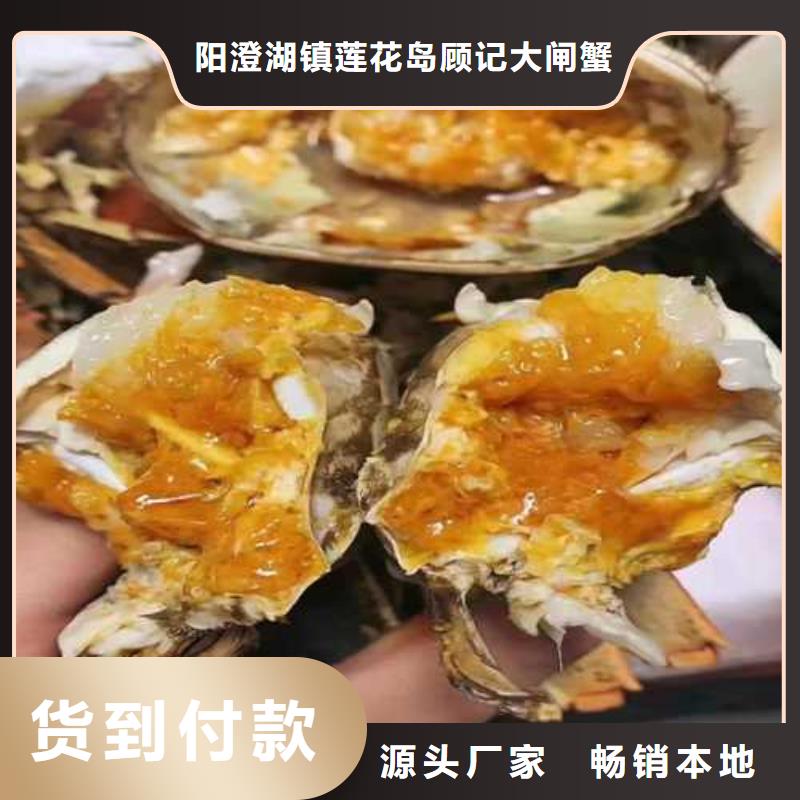 螃蟹公司歡迎您