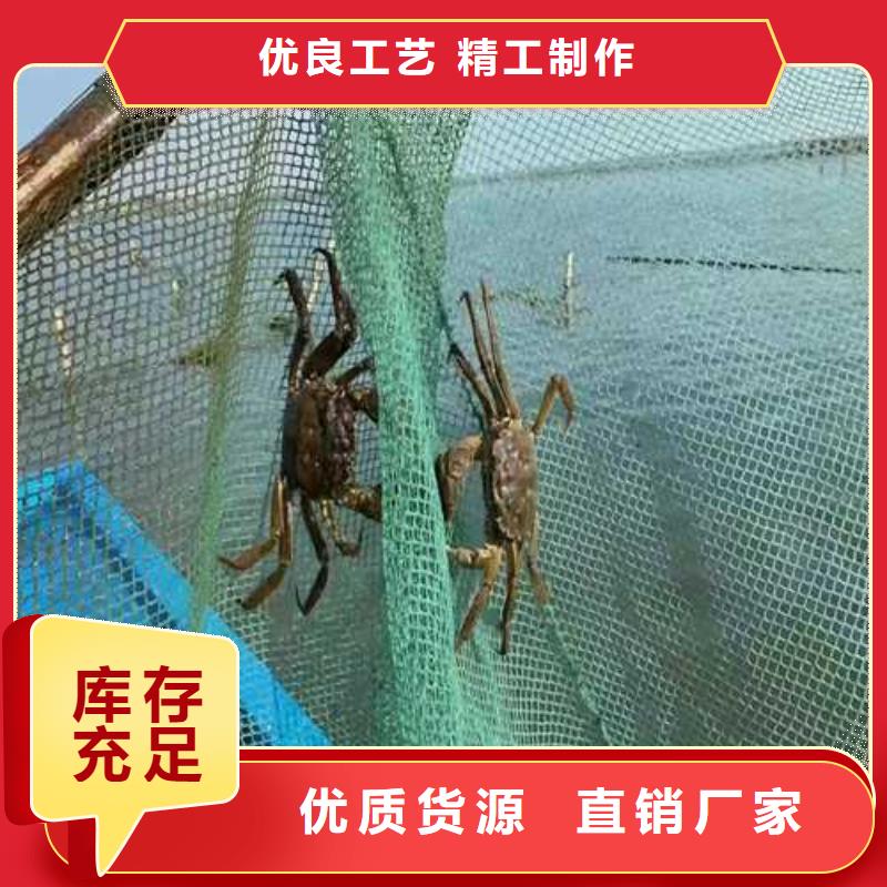 孟津縣陽澄湖大閘蟹聯系方式