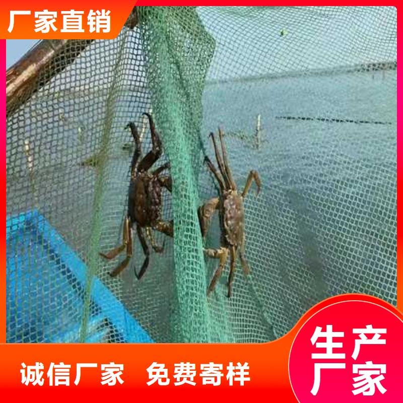 螃蟹發貨就是快