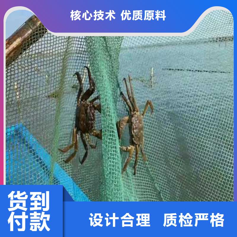 紅膏大閘蟹養(yǎng)殖基地聯(lián)系電話