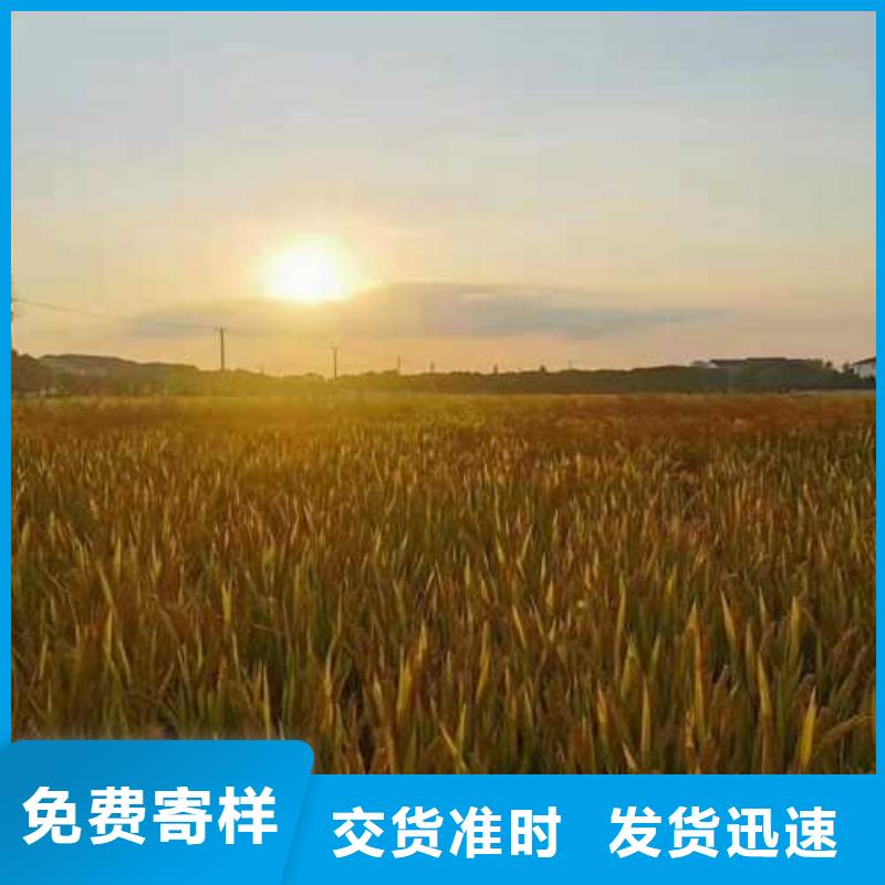 螃蟹來電咨詢