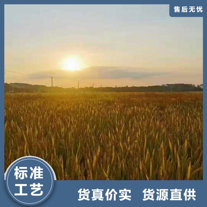 去陽澄湖吃蟹哪里好好吃在蘇州蓮花島