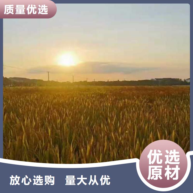 洛南縣陽澄湖農家樂