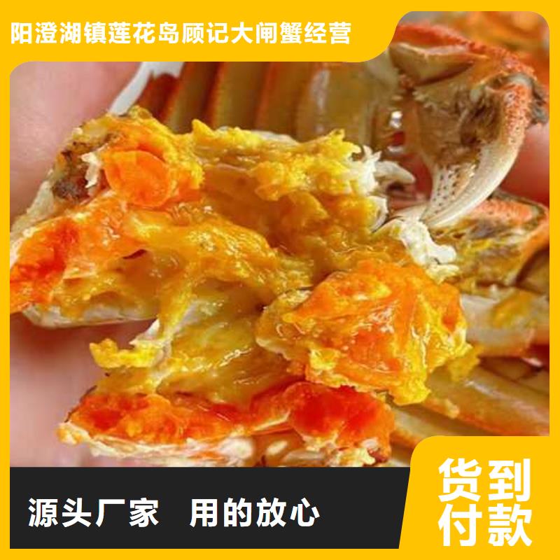 大閘蟹_歡迎您