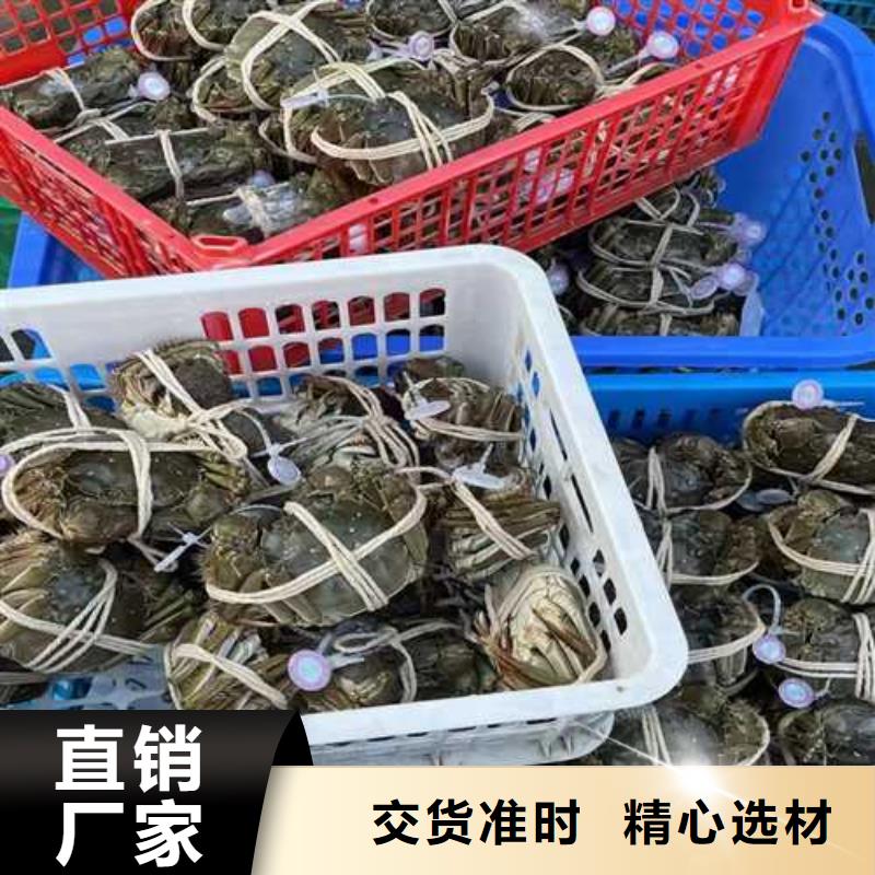 买大闸蟹视频-买大闸蟹|山东省潍坊市|寿光|临朐|临沂|聊城|莱芜|威海|德州