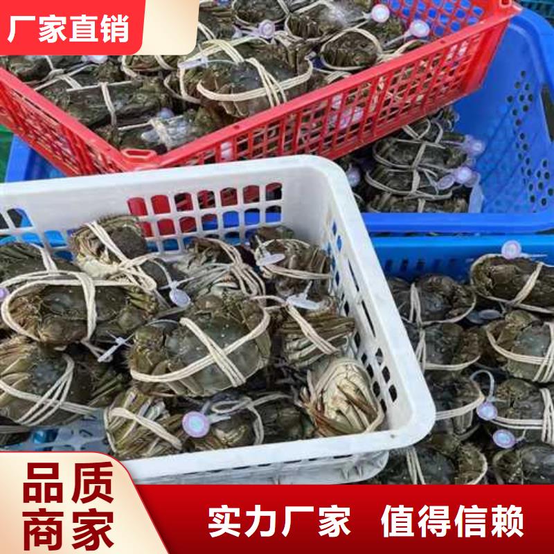 鮮活螃蟹禮盒裝
