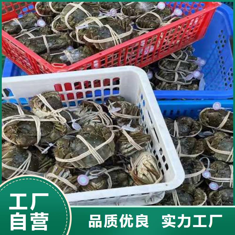 大閘蟹供應(yīng)商價(jià)格