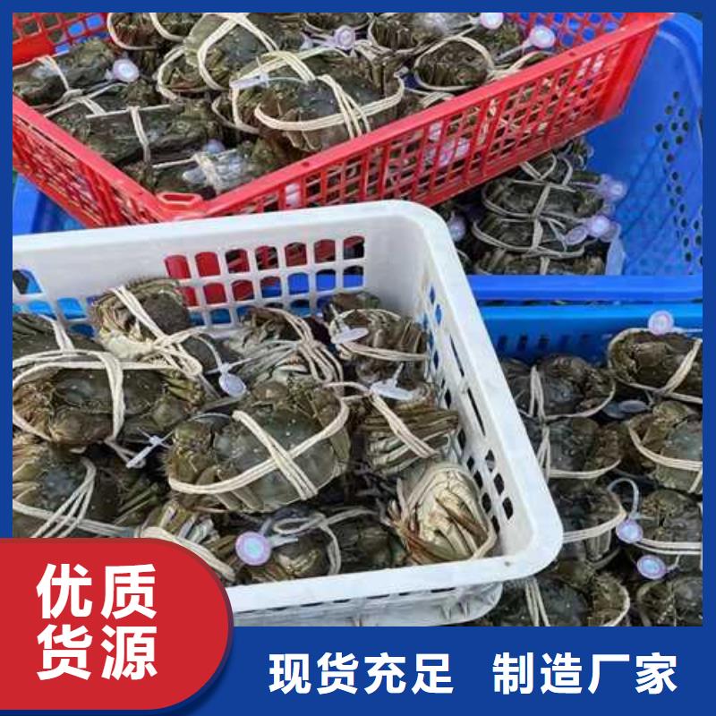 米脂阳澄湖大闸蟹团购更优惠