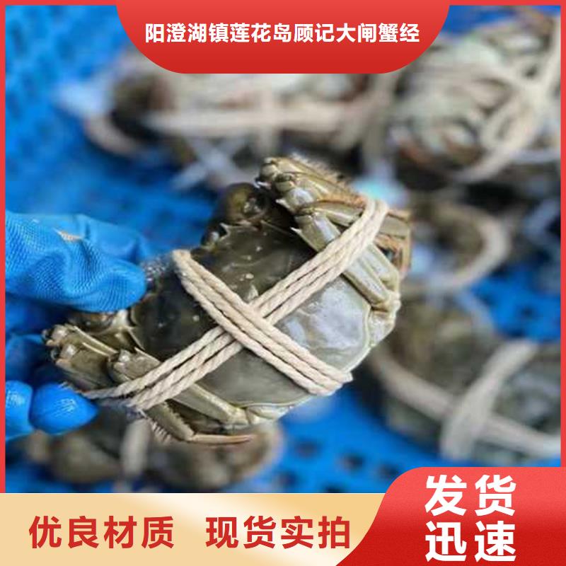 買大閘蟹