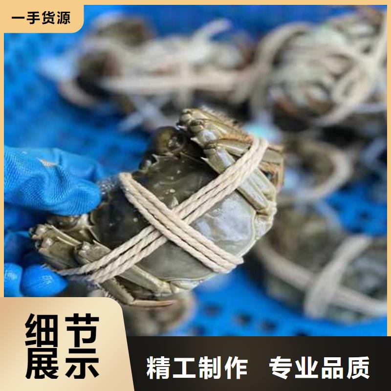 質優價廉的大閘蟹經銷商