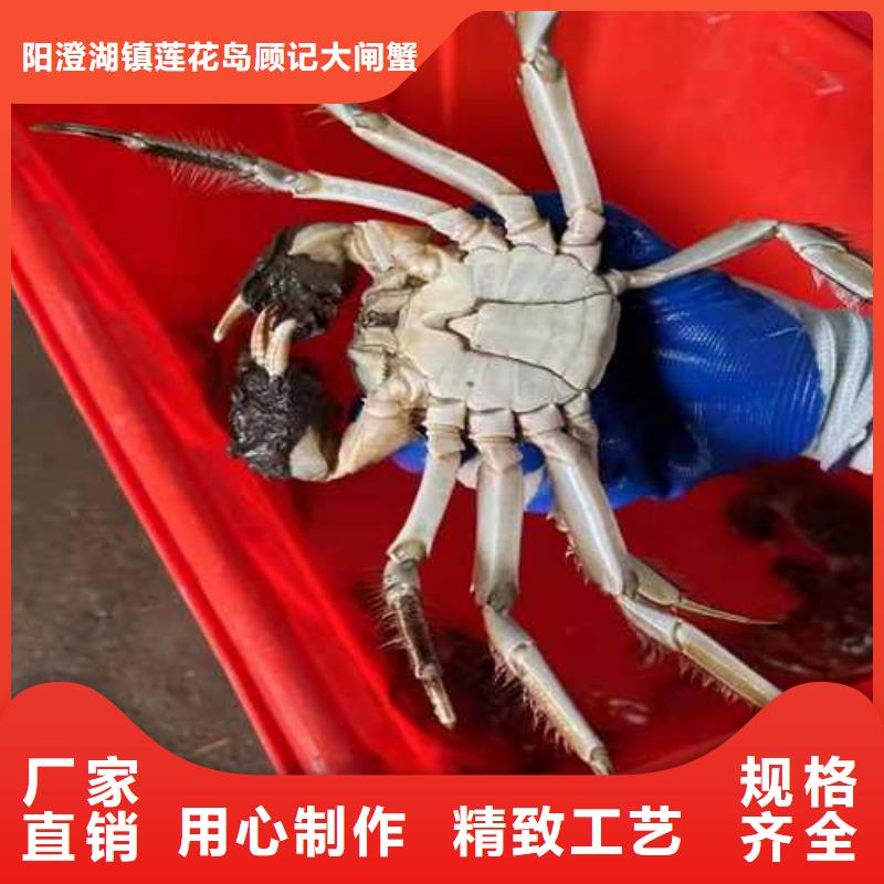 南方大螃蟹多少錢一斤