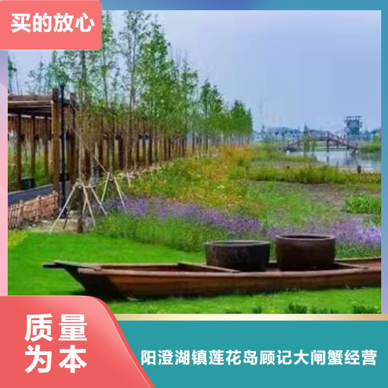 紅膏大閘蟹養(yǎng)殖基地聯(lián)系電話