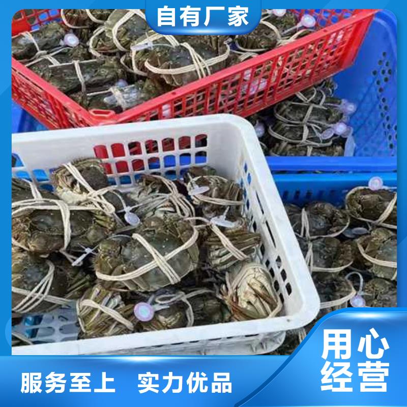 蘇州陽(yáng)澄湖農(nóng)家樂(lè)哪家正宗好吃
