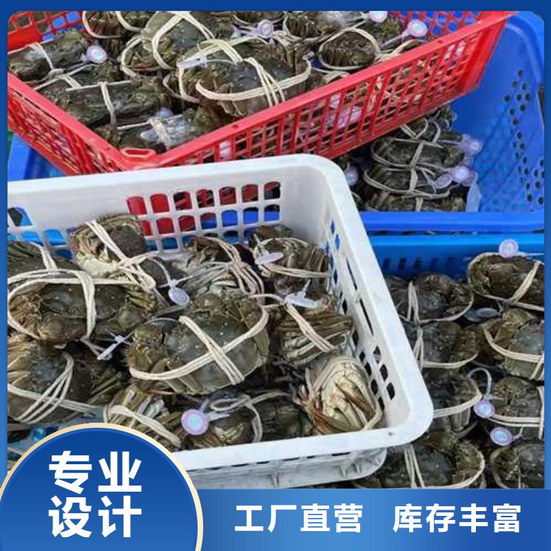 陽澄湖大螃蟹實體大廠