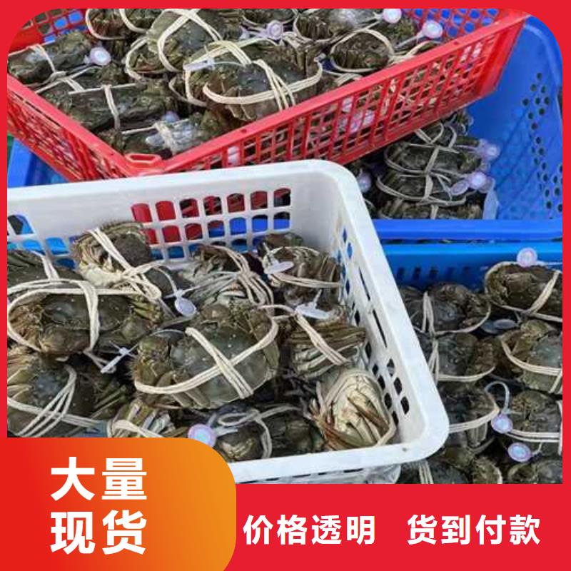 大閘蟹廠家直銷_售后服務保障