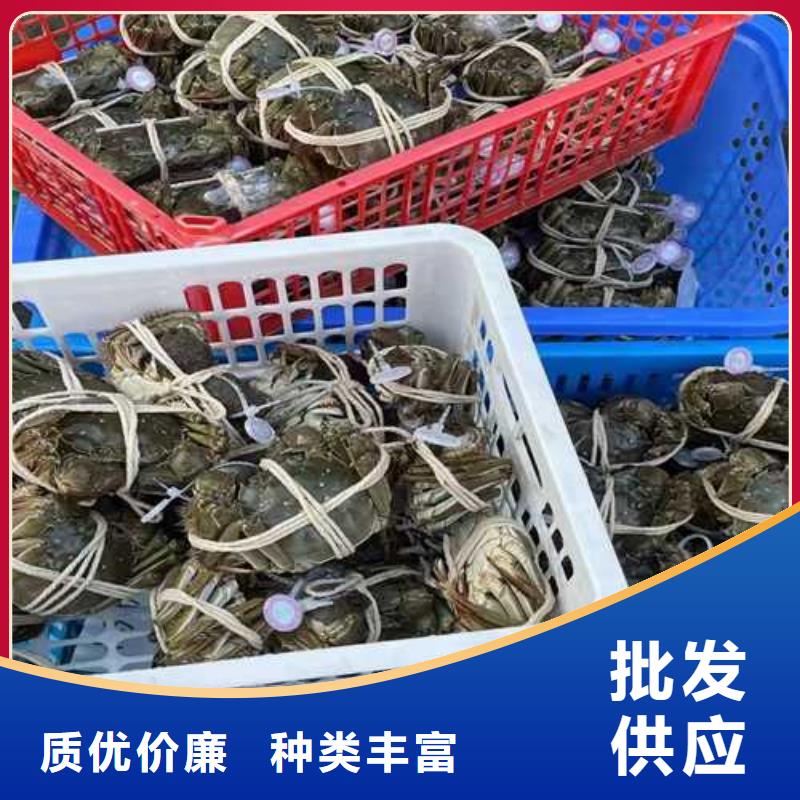 南方大螃蟹多少錢一斤