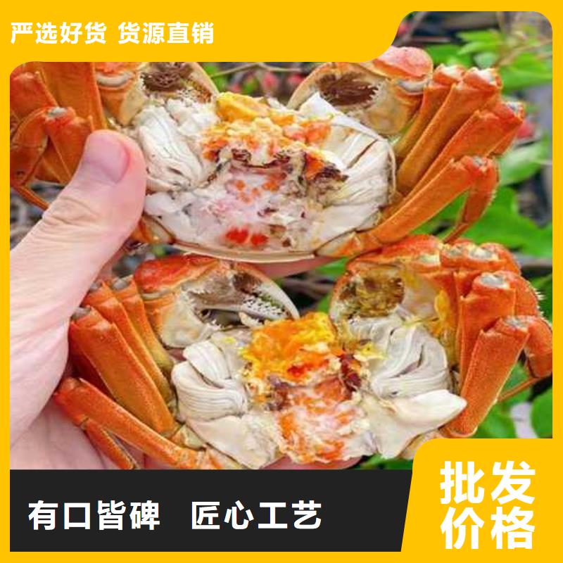 鮮活陽澄湖螃蟹一斤幾個
