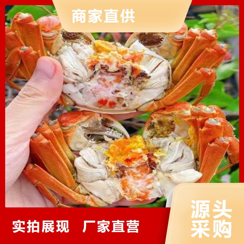 定州市哪里賣陽澄湖大閘蟹