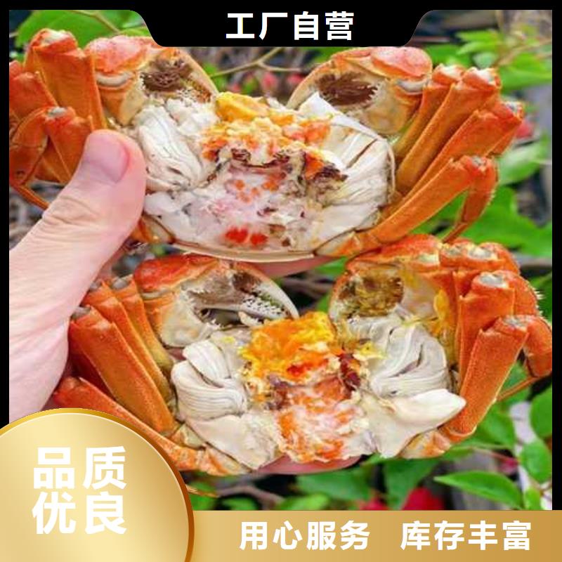 三元區買大閘蟹