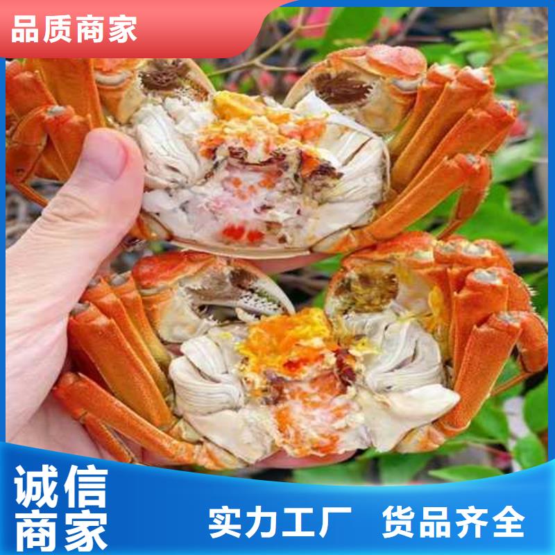 那坡縣陽澄湖大閘蟹旗艦店