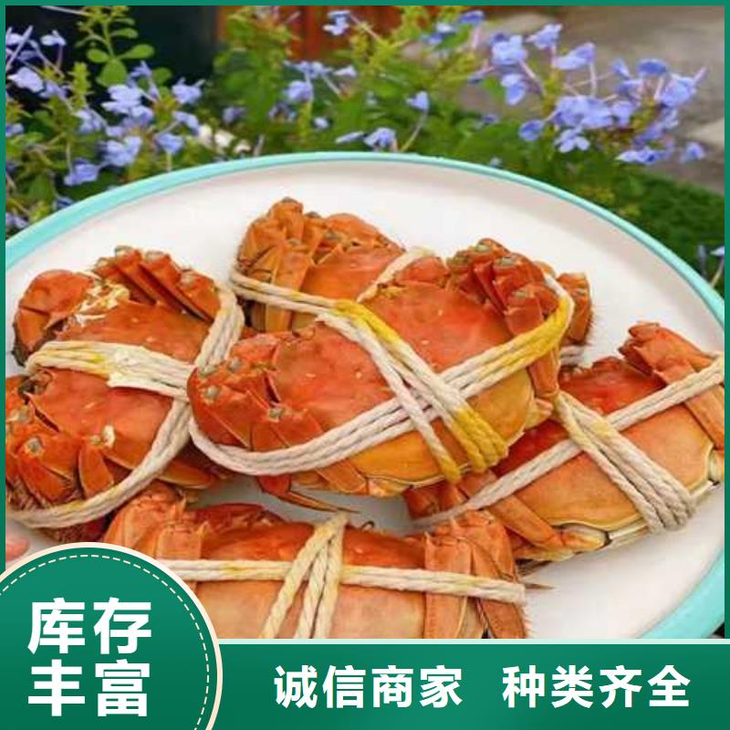 常年供應大閘蟹禮盒-優質