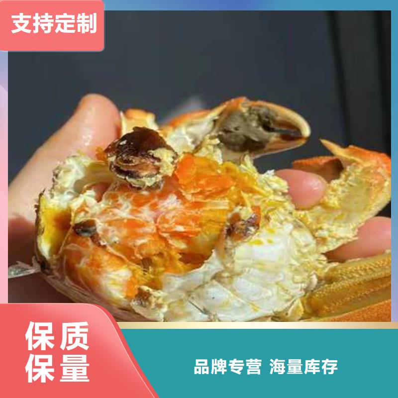 精品大閘蟹多少一個