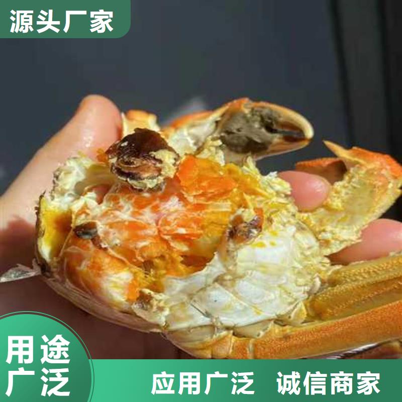 大閘蟹【多圖】