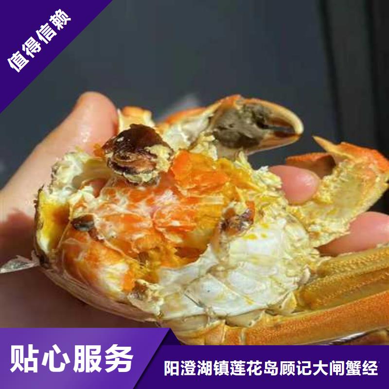 陽澄湖大閘蟹訂購