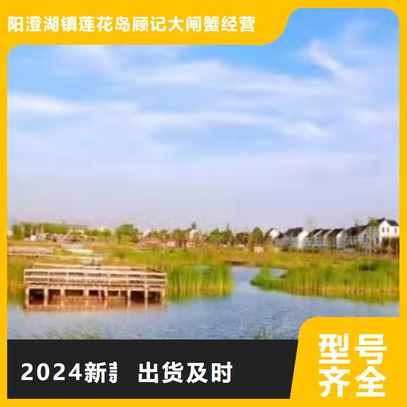 陽澄湖吃大閘蟹哪里好