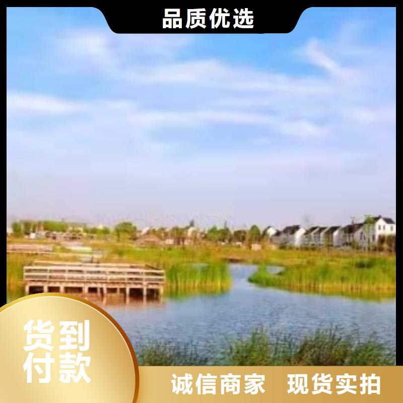 鮮活陽澄湖螃蟹價格行情
