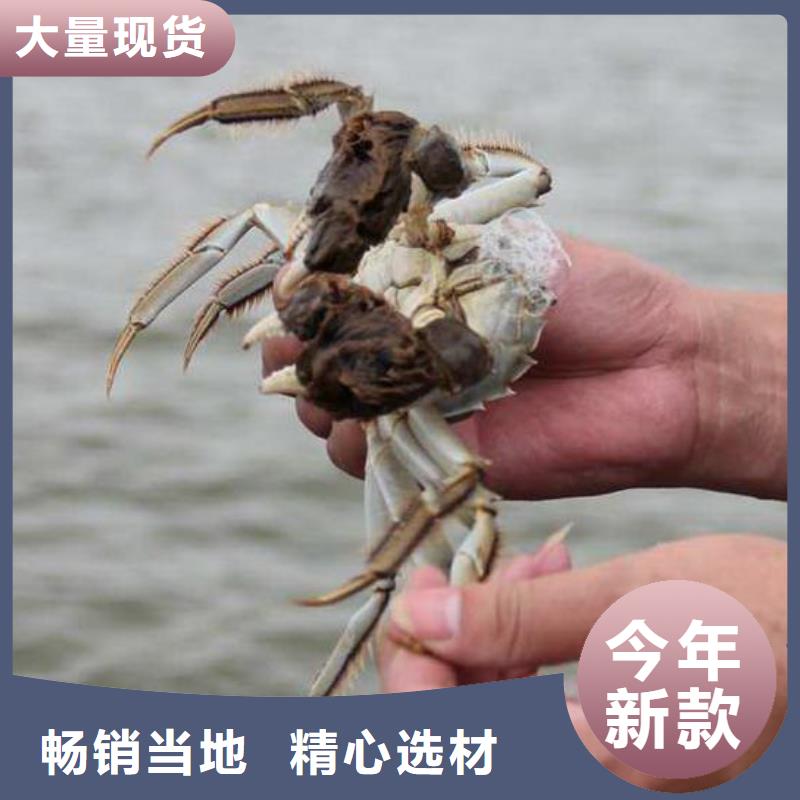全南陽澄湖大閘蟹精選美味