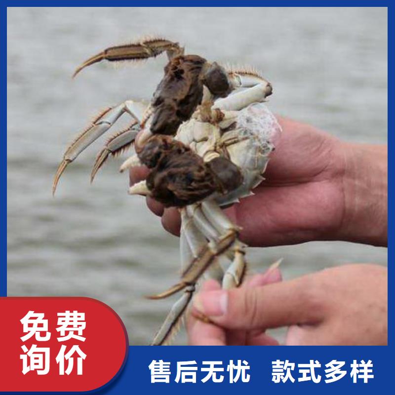 常年供應大閘蟹禮盒-優(yōu)質
