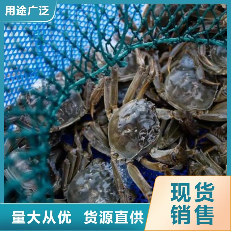 蓮花島陽澄湖大閘蟹哪里好