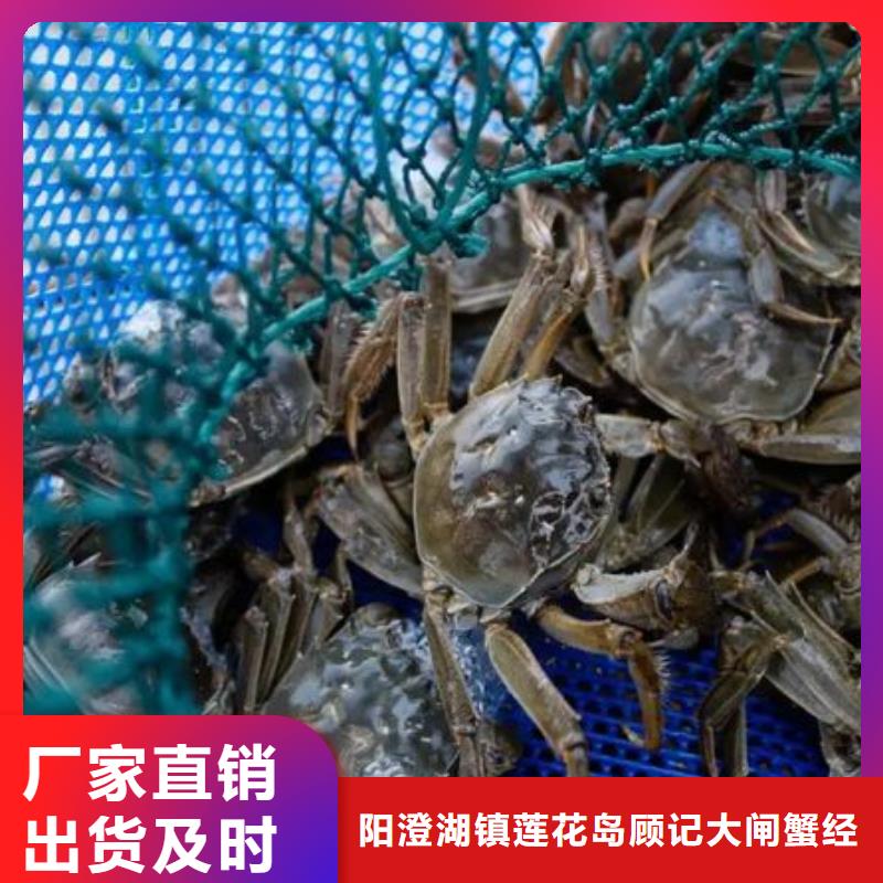 賣陽(yáng)澄湖大閘蟹地方