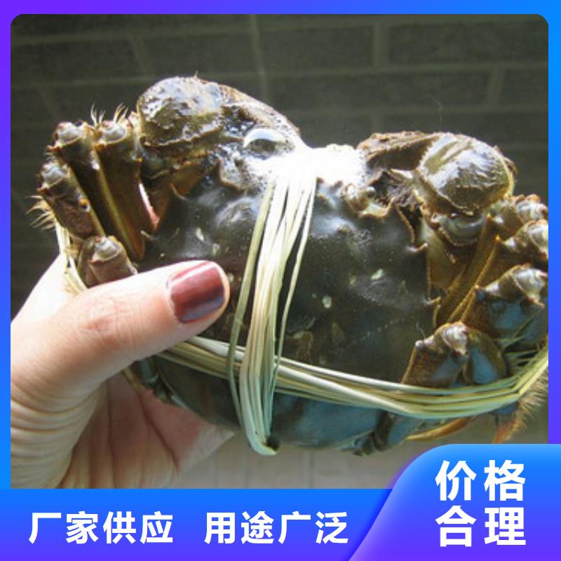 蘇州陽澄湖大閘蟹哪家正宗味道好