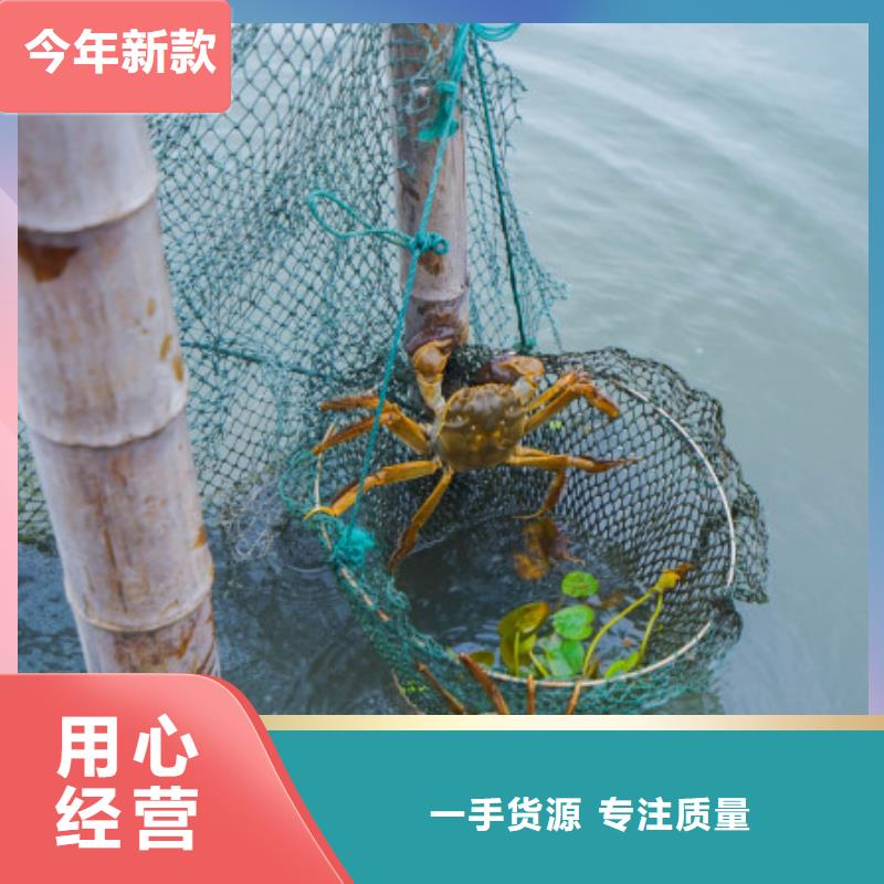蘇州陽澄湖大閘蟹那家實惠好吃