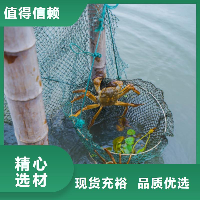 大閘蟹禮盒供貨商