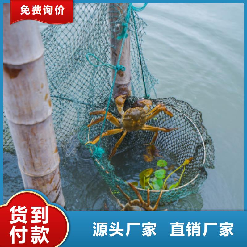 打螃蟹-您的優選